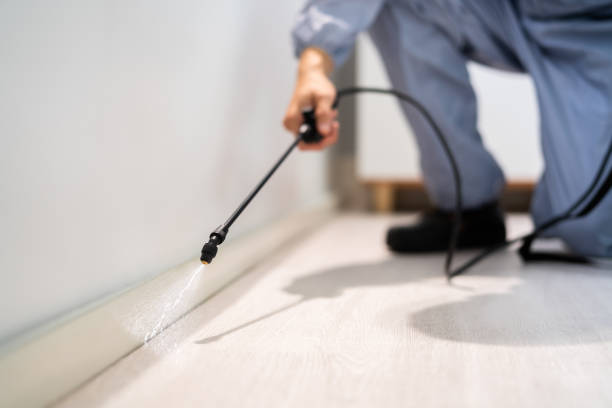 Licensed Fumigation Services service in Mountain Lake Park, MD - Nex Pest Control