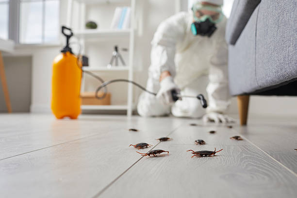 Trusted Fumigation Services service in Mountain Lake Park, MD - Nex Pest Control