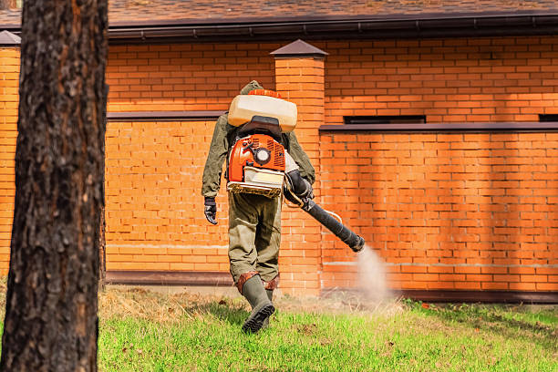 Trusted Termite Control service in Mountain Lake Park, MD - Nex Pest Control